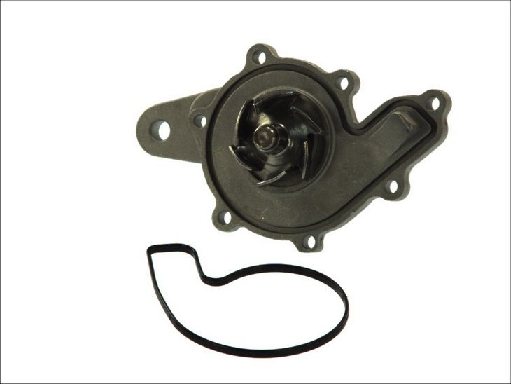 Pompa wody THERMOTEC D1M043TT