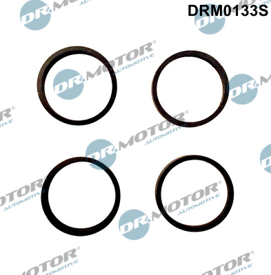 Zestaw uszczelek kolektora ssącego DR.MOTOR AUTOMOTIVE DRM0133S