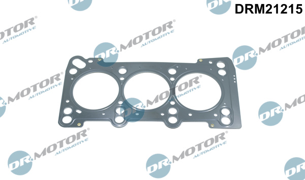 Zestaw uszczelek głowicy cylindrów DR.MOTOR AUTOMOTIVE DRM21215