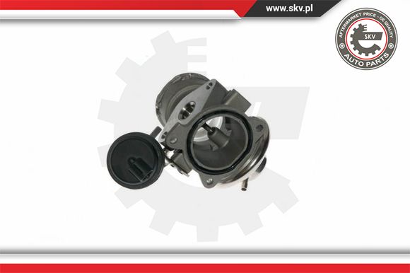 Zawór EGR ESEN SKV 14SKV090