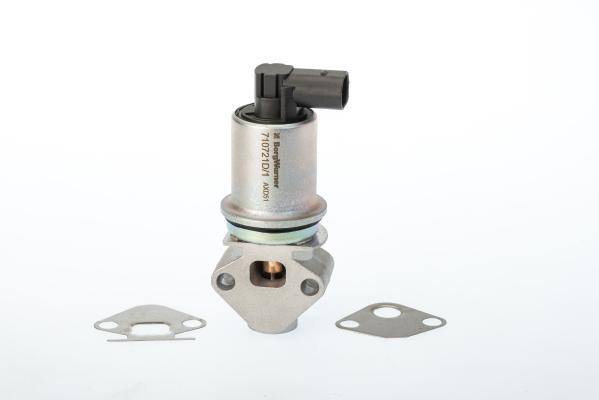Zawór EGR BORGWARNER (WAHLER) 710721D/1