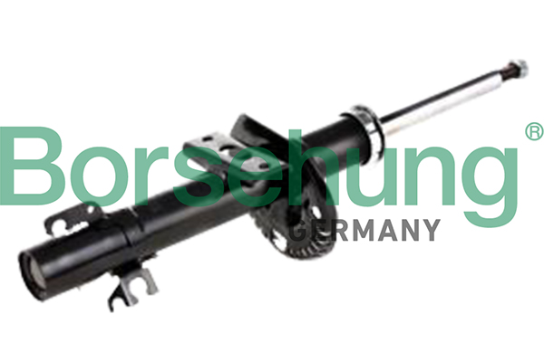Amortyzator BORSEHUNG B12138