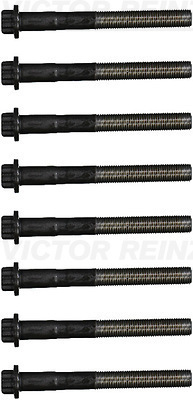Zestaw śrub głowicy cylindrów VICTOR REINZ 14-55099-01