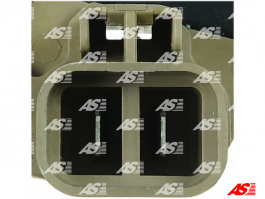 Regulator napięcia AS-PL ARE3060P