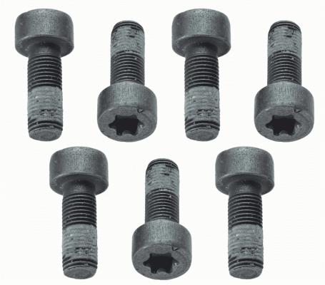 Zestaw śrub koła zamachowego SACHS 1874 000 040