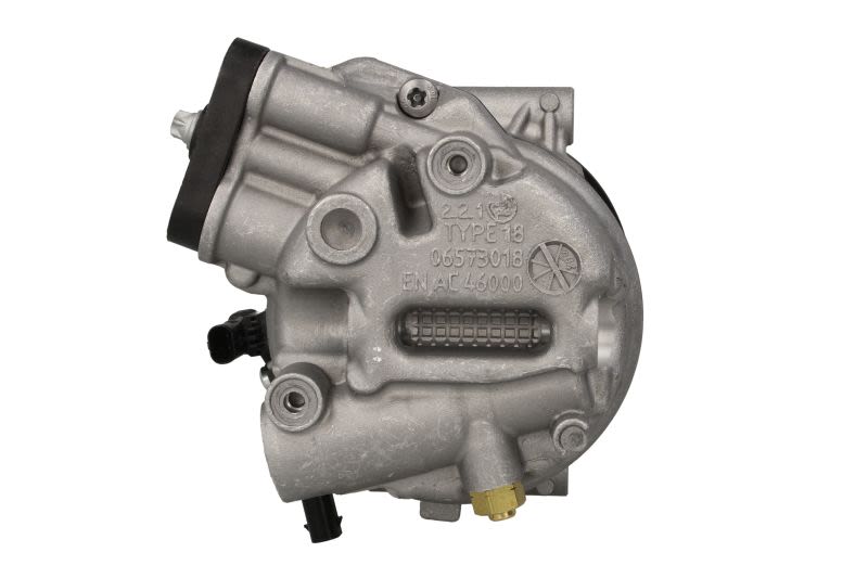 Kompresor klimatyzacji DELPHI TSP0155987