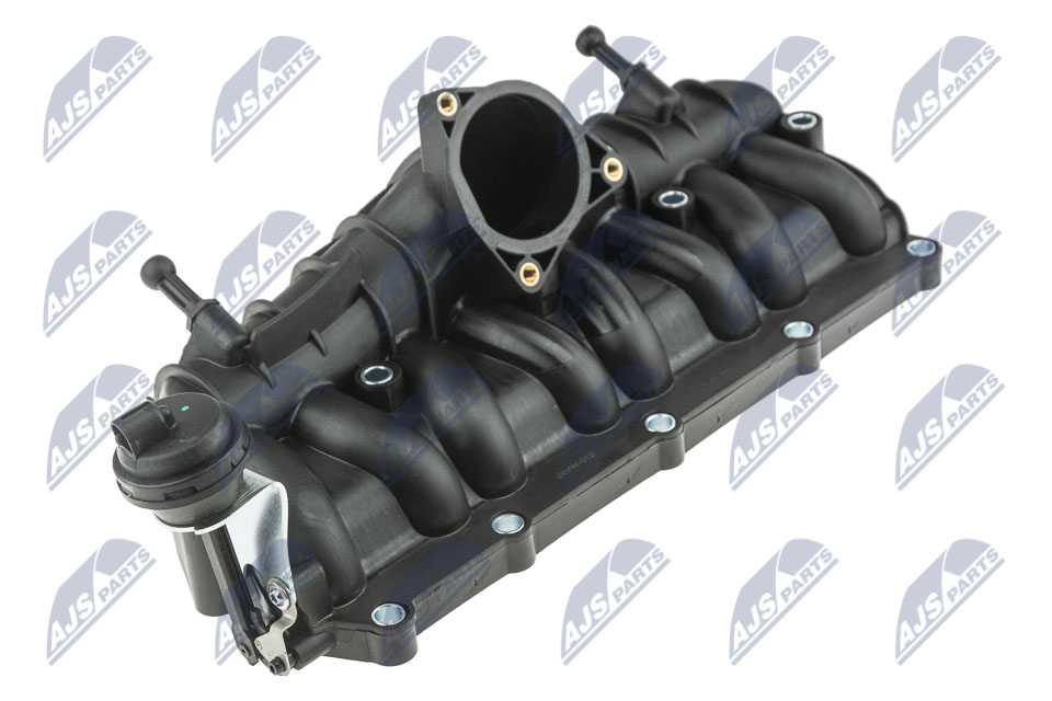 NTY BKS-VW-012