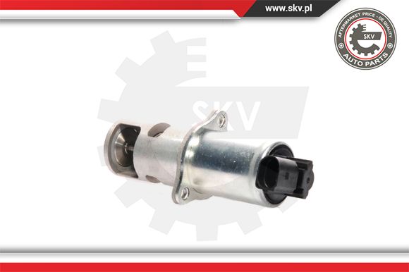 Zawór EGR ESEN SKV 14SKV021
