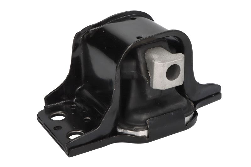 Poduszka silnika TEDGUM TED42243