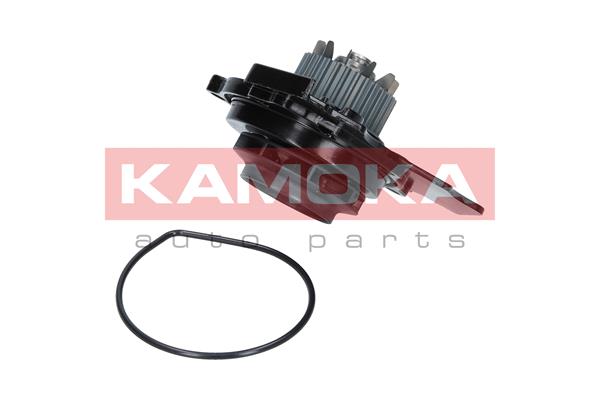 Pompa wody KAMOKA T0031