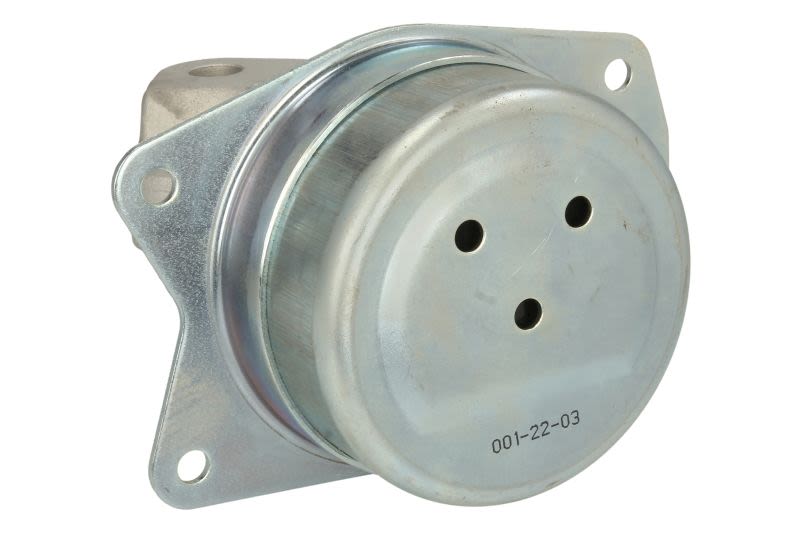 Poduszka silnika REINHOCH RH11-5093