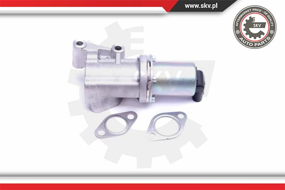 Zawór EGR ESEN SKV 14SKV211
