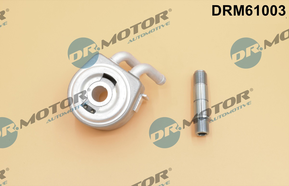 Chłodnica oleju silnikowego DR.MOTOR AUTOMOTIVE DRM61003