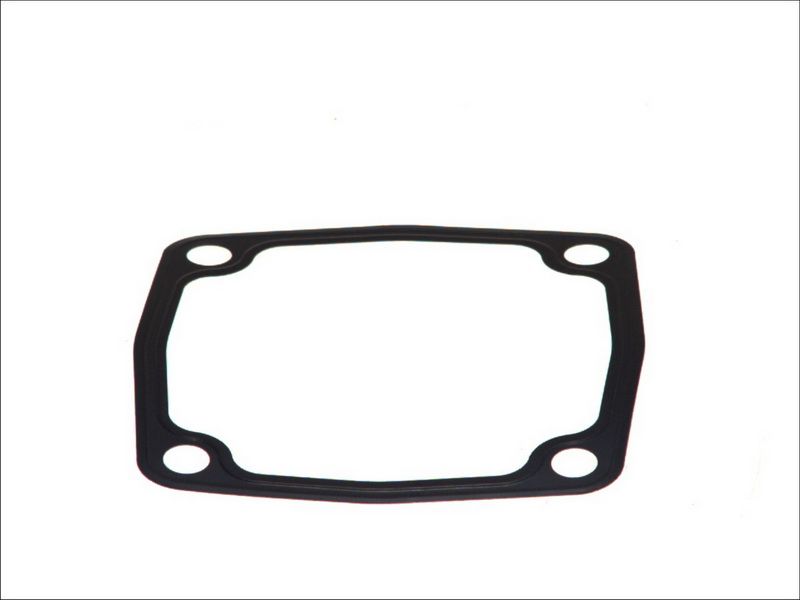 Pierścień uszczelniający, kompresor DT SPARE PARTS 4.20331