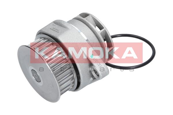 Pompa wody KAMOKA T0249