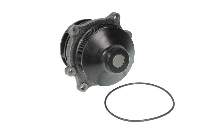 Pompa wody DOLZ I112