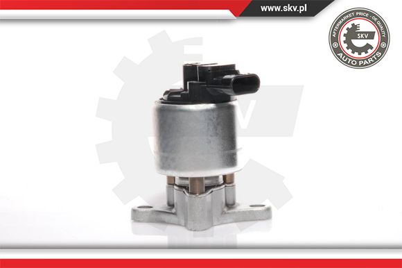 Zawór EGR ESEN SKV 14SKV041