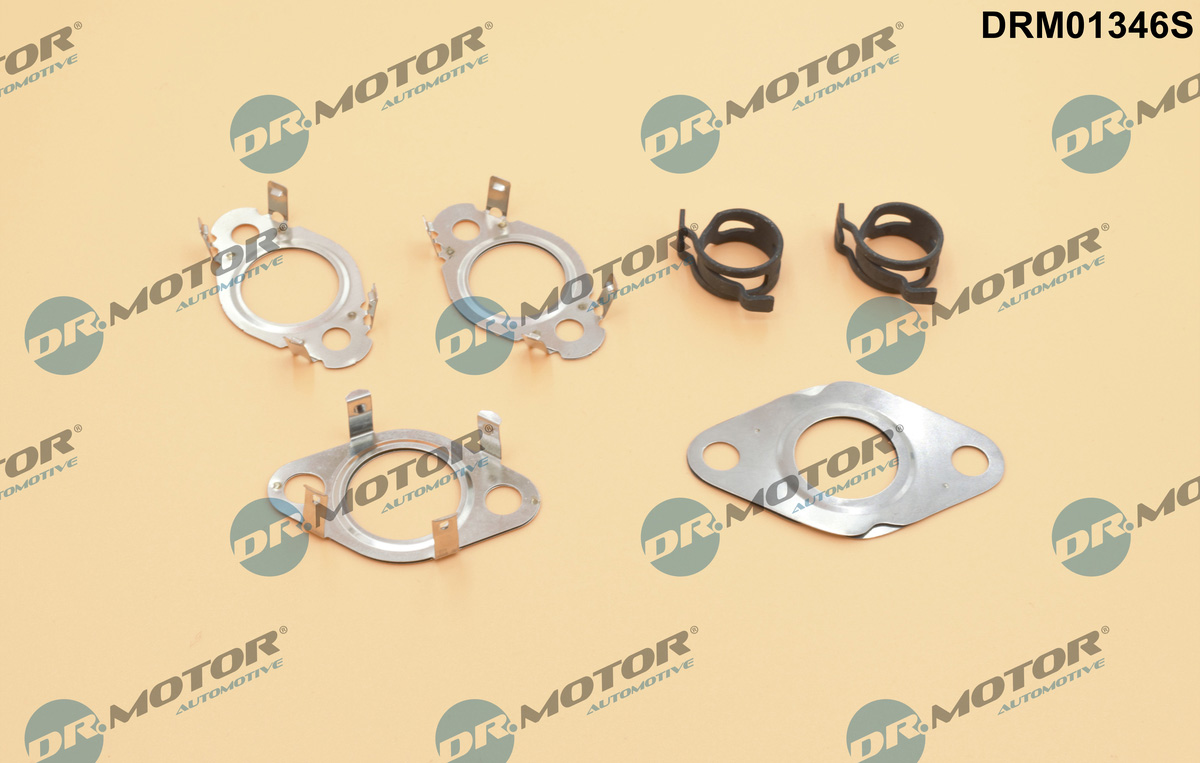 Zestaw uszczelek, system AGR DR.MOTOR AUTOMOTIVE DRM01346S