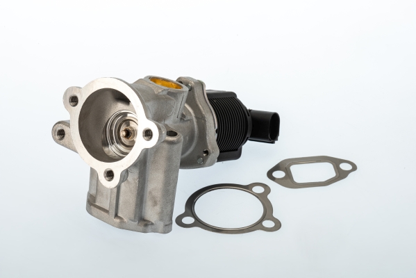 Zawór EGR BORGWARNER (WAHLER) 710773D/1