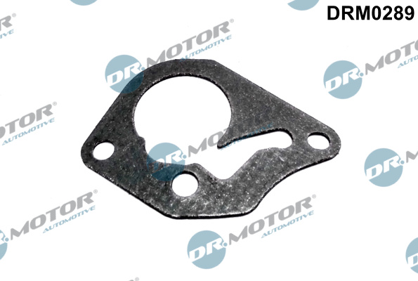 Uszczelka pompy podcisnieniowej DR.MOTOR AUTOMOTIVE DRM0289