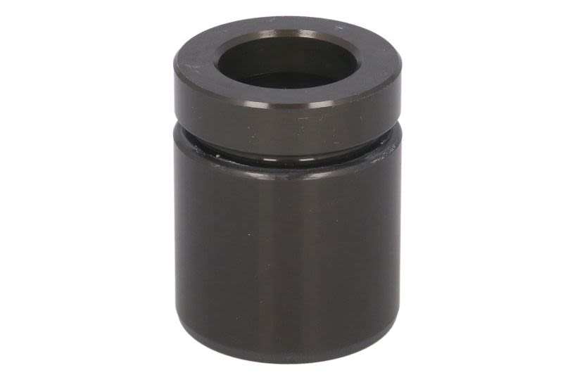 Tłoczek zacisku hamulcowego AUTOFREN SEINSA D025728