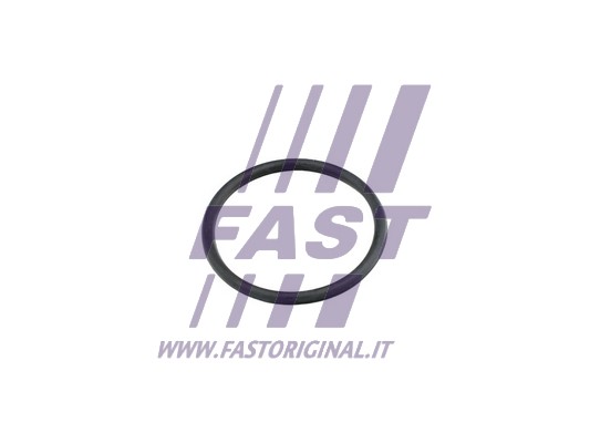 Uszczelka, rurka płynu chłodzącego FAST FT49920