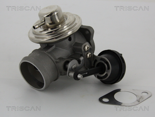 Zawór EGR TRISCAN 8813 29057