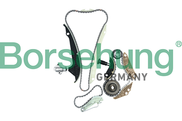 Zestaw łańcucha rozrządu BORSEHUNG B16298