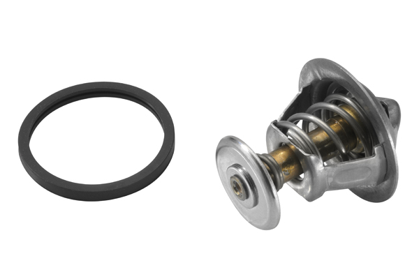 Termostat WAHLER 4821.89D