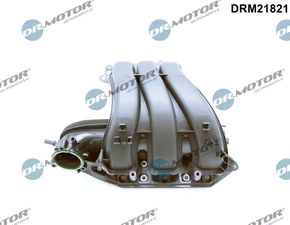 Moduł rury wlotowej DR.MOTOR AUTOMOTIVE DRM21821