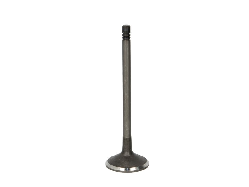 Zawór ssący FRECCIA R6605/SNT