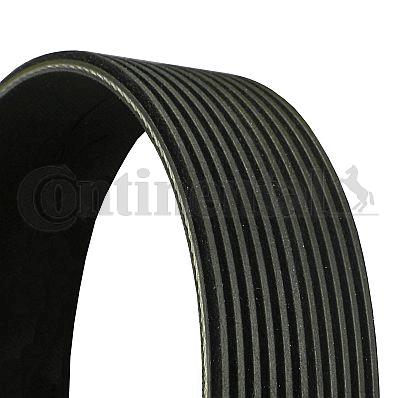 Pasek klinowy wielorowkowy CONTINENTAL CTAM 11PK2020