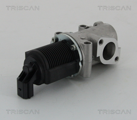 Zawór EGR TRISCAN 8813 15032