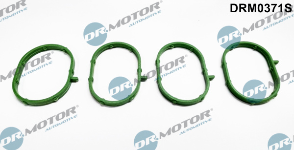 Zestaw uszczelek kolektora ssącego DR.MOTOR AUTOMOTIVE DRM0371S