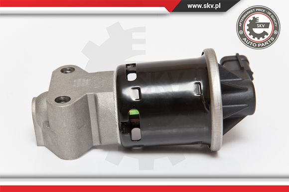 Zawór EGR ESEN SKV 14SKV053