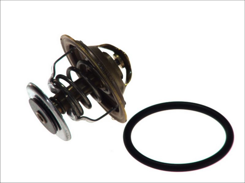 Termostat WAHLER 4255.87D