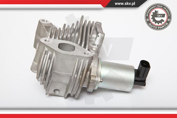 Zawór EGR ESEN SKV 14SKV036