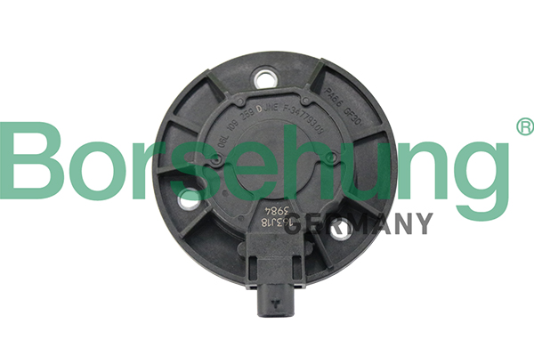 Regulator zmiennych faz rozrządu BORSEHUNG B19124
