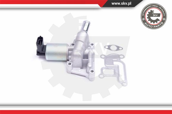 Zawór EGR ESEN SKV 14SKV207