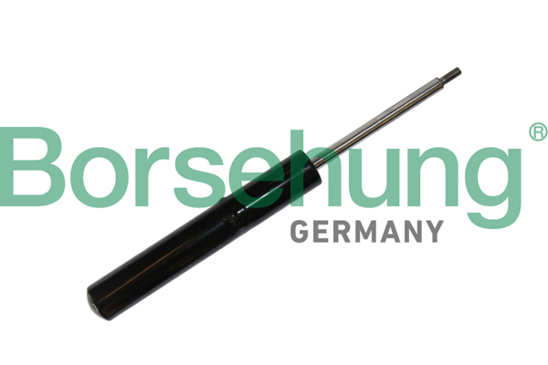 Amortyzator BORSEHUNG B11183
