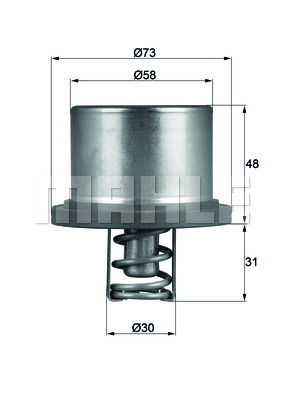 Termostat BEHR THD 2 89