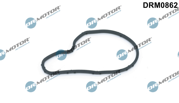 Uszczelka pompy podcisnieniowej DR.MOTOR AUTOMOTIVE DRM0862