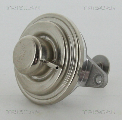 Zawór EGR TRISCAN 8813 24054