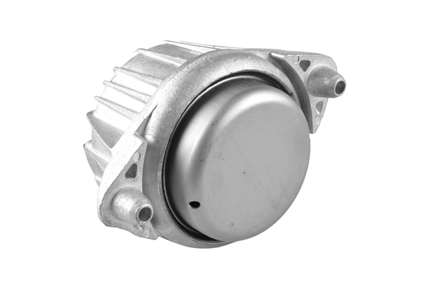 Poduszka silnika TEDGUM TED97203