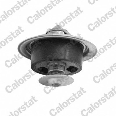 Termostat, środek chłodzący CALORSTAT BY VERNET TBS1001.82