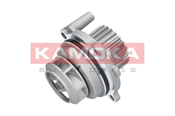 Pompa wody KAMOKA T0029