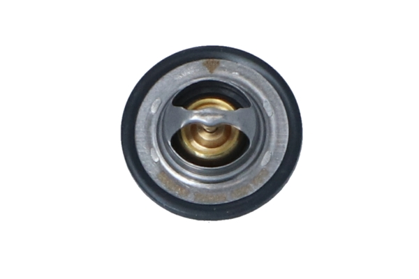 Termostat NRF 725089