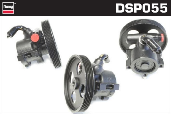 Pompa wspomagania REMY DSP055