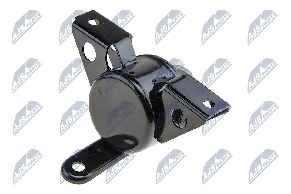 NTY ZPS-DW-004
