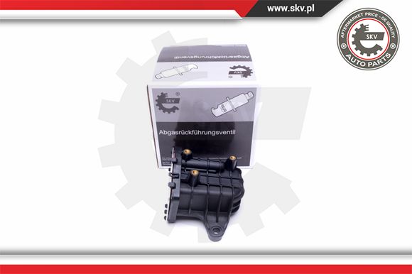 Zawór EGR ESEN SKV 14SKV231